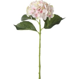 Koristeoksa Hortensia 51 cm vaaleanpunainen