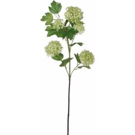 Koristeoksa Heiden 66 cm