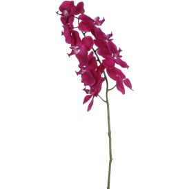 Koristeoksa Perhoskämmekkä 71 cm violetti