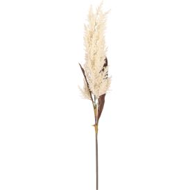 Koristeoksa Pampaheinä 88 cm