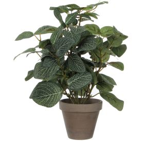 Silkkikasvi Piilea 35 cm