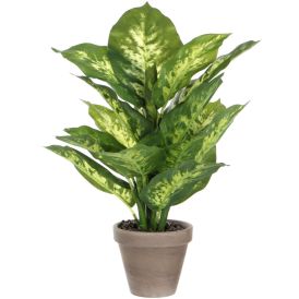 Silkkikasvi Kirjovehka 40 cm