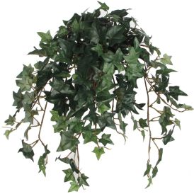 Silkkikasvi Muratti 45 cm