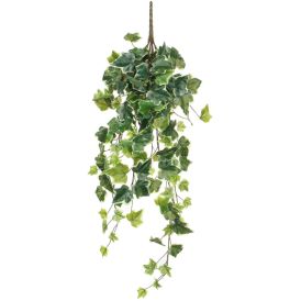Silkkikasvi Murattiamppeli 71 cm