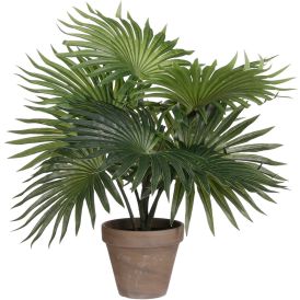 Silkkikasvi Palmu 40 cm