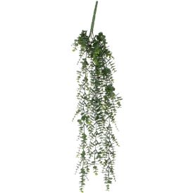 Silkkikasvi Eucalyptus 93 cm