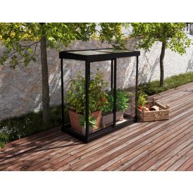 Minikasvihuone Palram-Canopia Ivy 124 x 64 cm