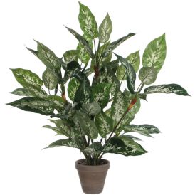 Silkkikasvi Kirjovehka 70 cm