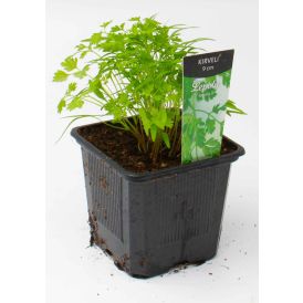 Kirveli Kotimainen Ø 9 cm