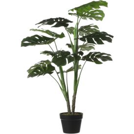 Silkkikasvi Peikonlehti 100 cm
