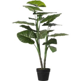 Silkkikasvi Taaro 100 cm