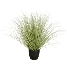 Silkkikasvi Heinä ruukussa 68 cm