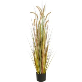 Silkkikasvi Heinä ruukussa 120 cm