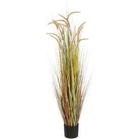 Silkkikasvi Heinä ruukussa 150 cm