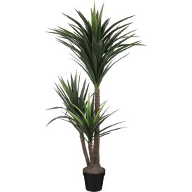 Silkkikasvi Jukkapalmu 3-runkoinen 160 cm