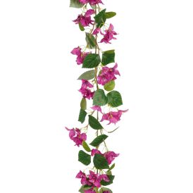 Silkkikasvi Ihmeköynnös 180 cm