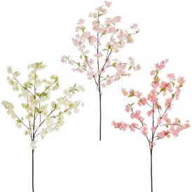 Silkkikasvi Kirsikanoksa lajitelma 120 cm