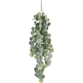 Silkkikasvi Eucalyptus 94 cm