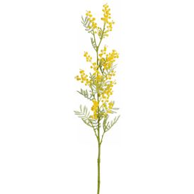 Silkkikasvi Mimosankukka keltainen 79,5 cm