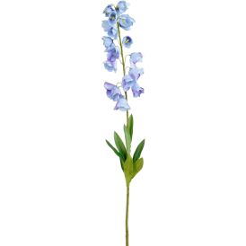 Silkkikasvi Muurikello sininen 94 cm