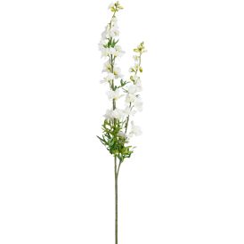 Silkkikasvi Kukonkannus valkoinen 98 cm