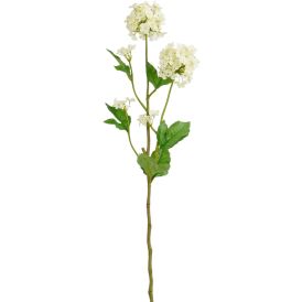 Silkkikasvi Heiden oksa valkoinen 71,5 cm