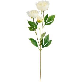 Silkkikasvi Pionin oksa valkoinen 67 cm