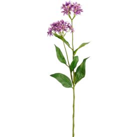 Silkkikasvi Epidendrum violetti 75 cm