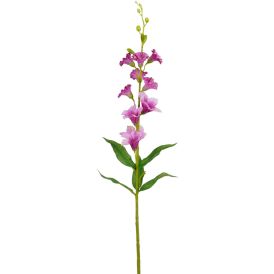 Silkkikasvi Rohtosormustinkukka fuksia 76 cm