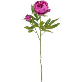 Silkkikasvi Pionin oksa violetti 66 cm