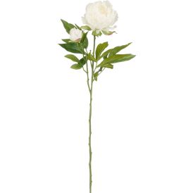 Silkkikasvi Pionin oksa valkoinen 66 cm