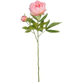 Silkkikasvi Pionin oksa vaaleanpunainen 66 cm