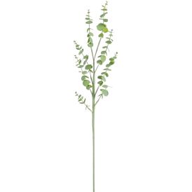 Silkkikasvi Eucalyptuksen oksa 90 cm