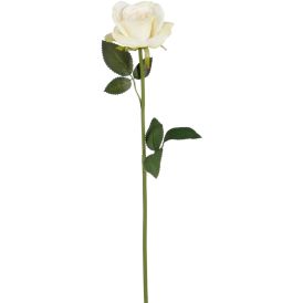 Silkkikasvi Ruusun oksa kermanvalkoinen 62 cm