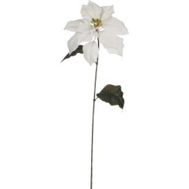 Silkkikasvi Joulutähti 71 cm valkoinen