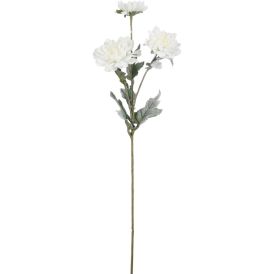 Silkkikasvi Krysanteemi valkoinen 63 cm