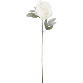 Silkkikasvi Pioni valkoinen 70 cm