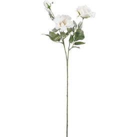 Silkkikasvi Ruusu valkoinen 69 cm