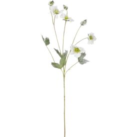 Silkkikasvi Jouluruusu valkoinen 76 cm