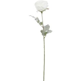 Silkkikasvi Ruusu valkoinen 66 cm