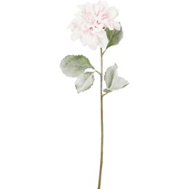 Silkkikasvi Daalia vaaleanpunainen 69 cm