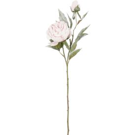 Silkkikasvi Pioni pinkki 70 cm