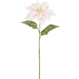 Silkkikasvi Joulutähti pinkki 65 cm