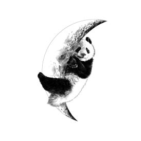 Julistetarra Sleeping Panda 48 x 68 cm