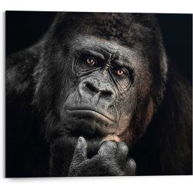 Sisustustaulu Reinders Gorilla Thinking 40 x 50 cm