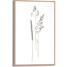 Sisustustaulu Reinders Dried Flowers 20 x 30 cm