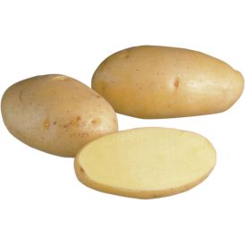 SIEMENPERUNA NICOLA 5 KG