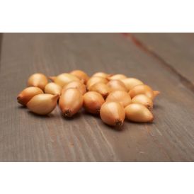 Istukassipuli Sturon 500 g