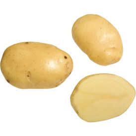 SIEMENPERUNA SIIKLI 1 KG