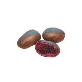 SIEMENPERUNA BLUE CONGO 1 KG